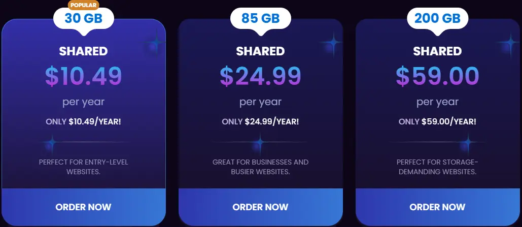 Next-Gen-Shared-Hosting-The-Solution-for-Snail-Paced-Websites